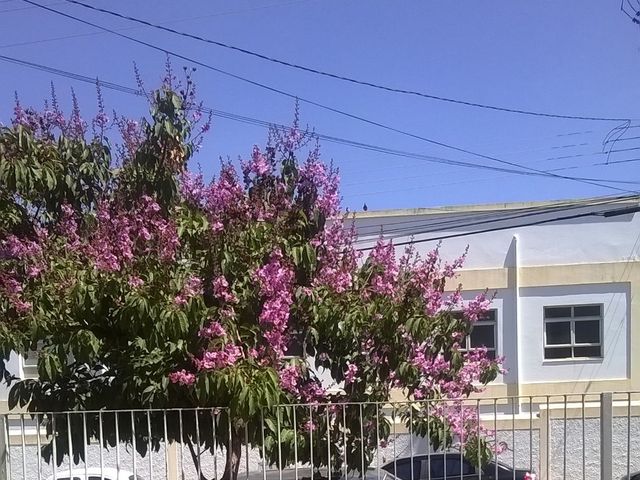 Foto de O Postao - Garça / SP