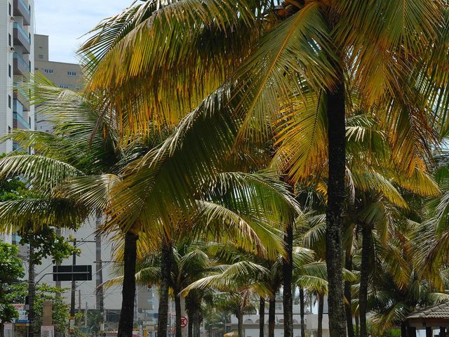 Boqueirao - Praia Grande / SP