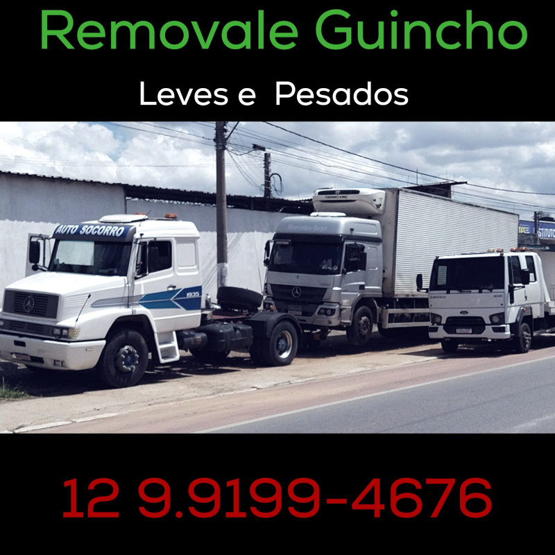 Removale Guincho Leve e Pesado