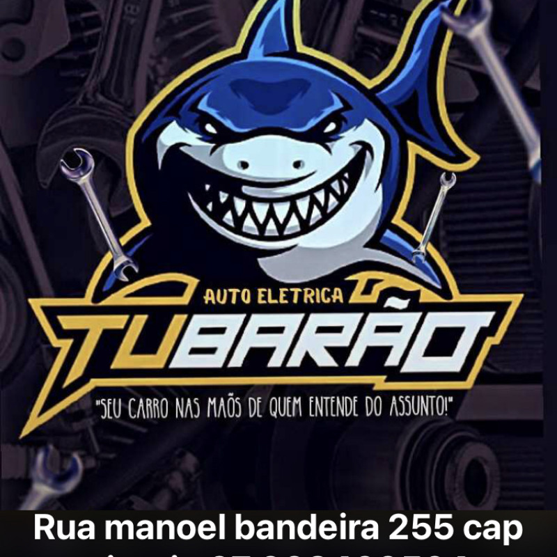 Auto elétrica e mecânica tubarão