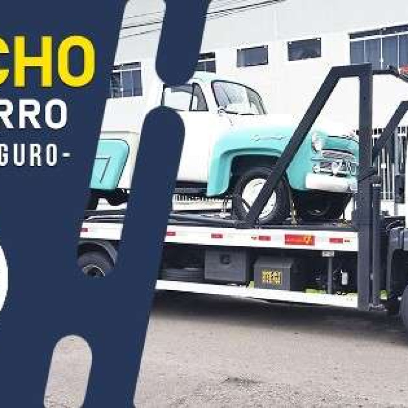 Foto de Guincho em Taubaté - Taubaté / SP